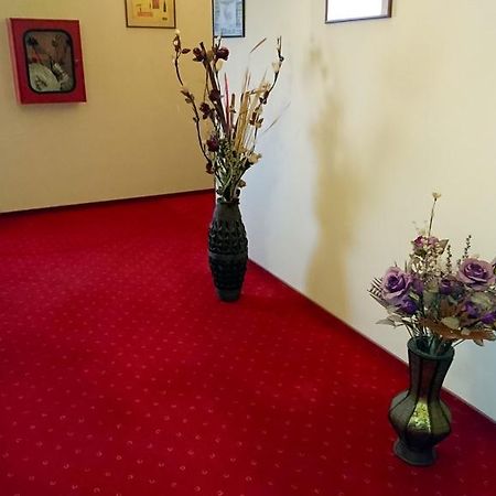 Hotel Pui De Urs 부쿠레슈티 외부 사진