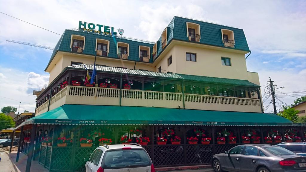 Hotel Pui De Urs 부쿠레슈티 외부 사진